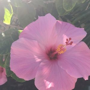 Meet your Posher, Chloe